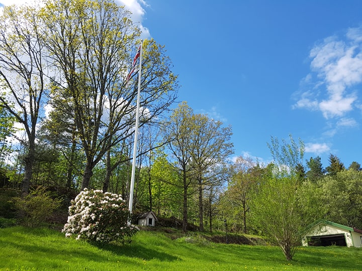 60340469_2659260180754867_7677220055523786752_n